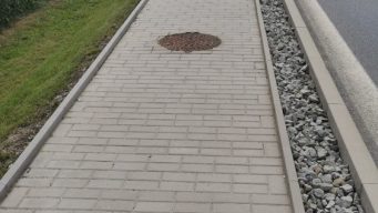 IMG-20240611-WA0001